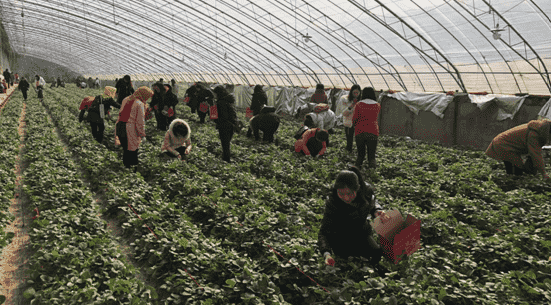 Z6尊龙·凯时(中国)-官方网站