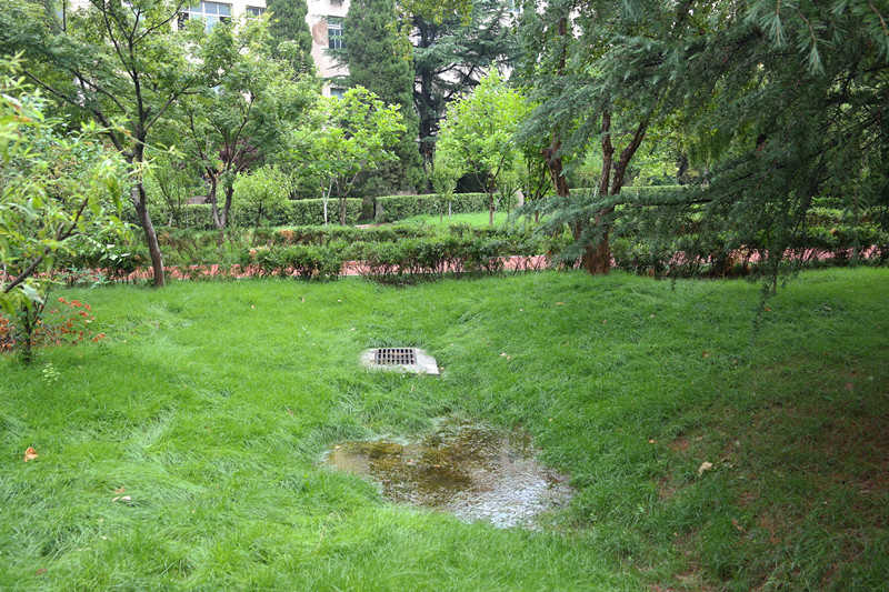 Z6尊龙·凯时(中国)-官方网站