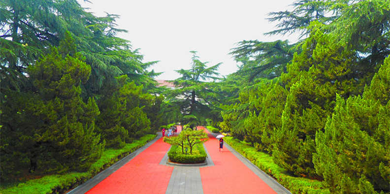 Z6尊龙·凯时(中国)-官方网站