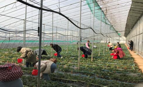 Z6尊龙·凯时(中国)-官方网站