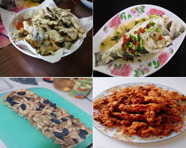 Z6尊龙·凯时(中国)-官方网站