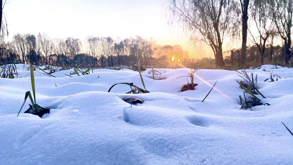 Z6尊龙·凯时(中国)-官方网站