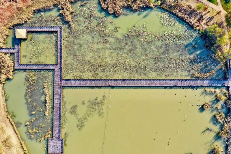 Z6尊龙·凯时(中国)-官方网站